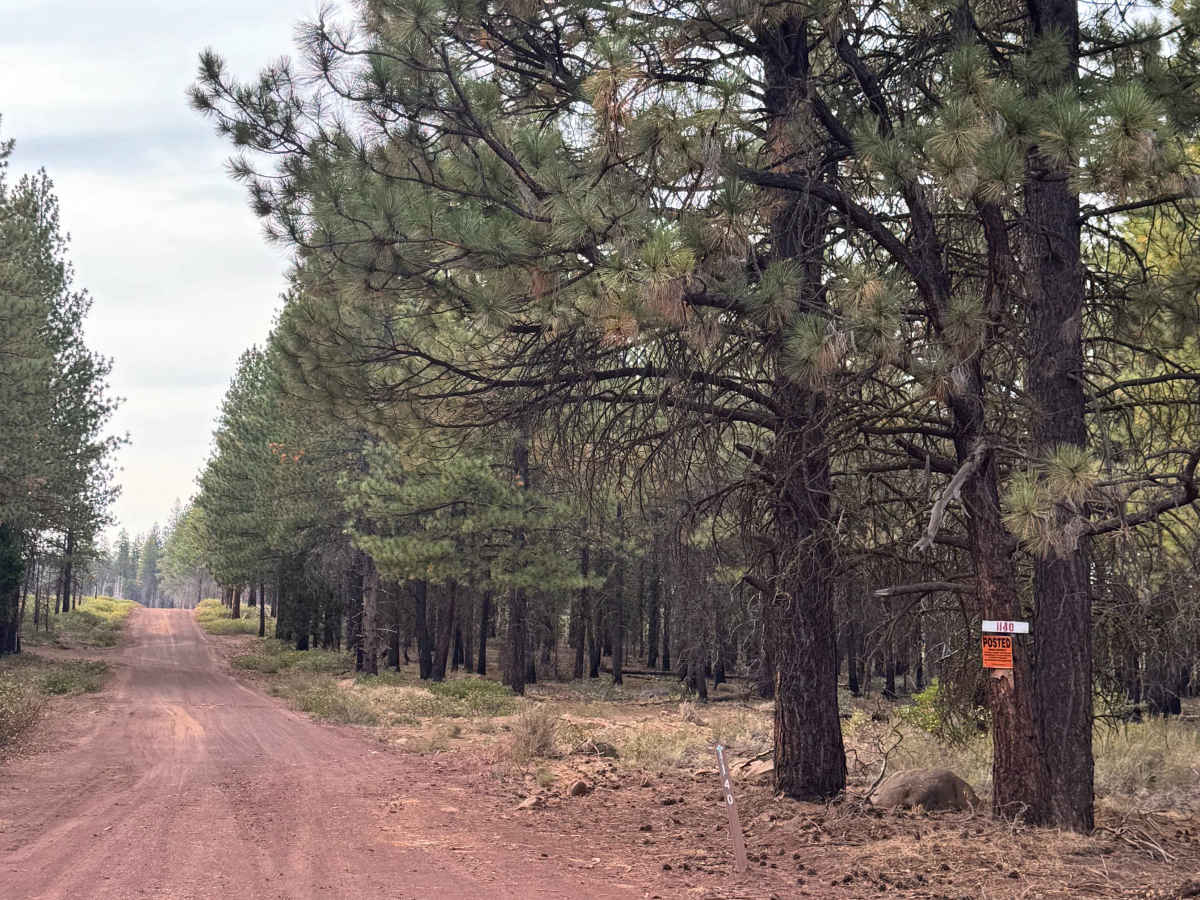 FS 1140 trail photo