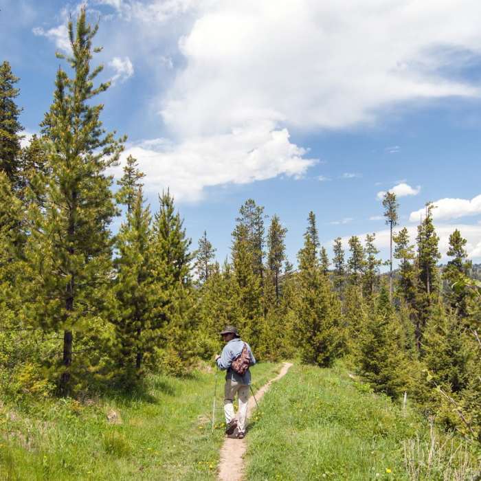 Near Chestnut Mountain