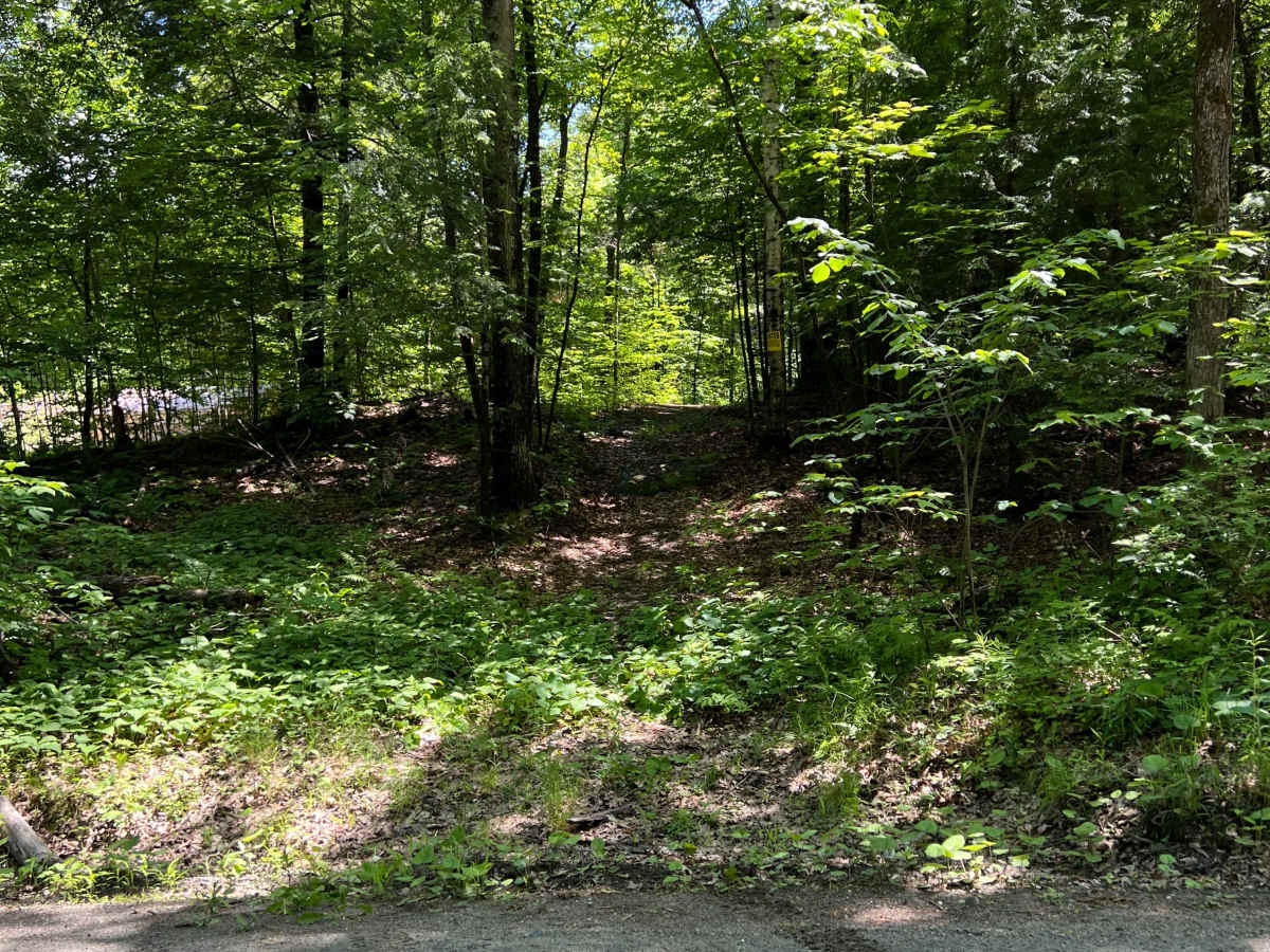Peterson Road photo 3