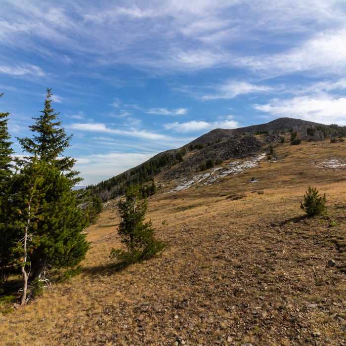 Near Elkhorn Peak to Crow Peak Loop