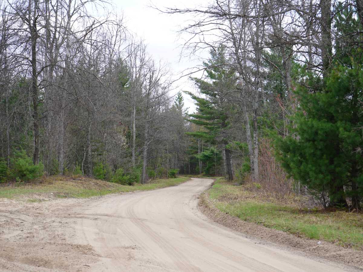 Deckers Road trail photo