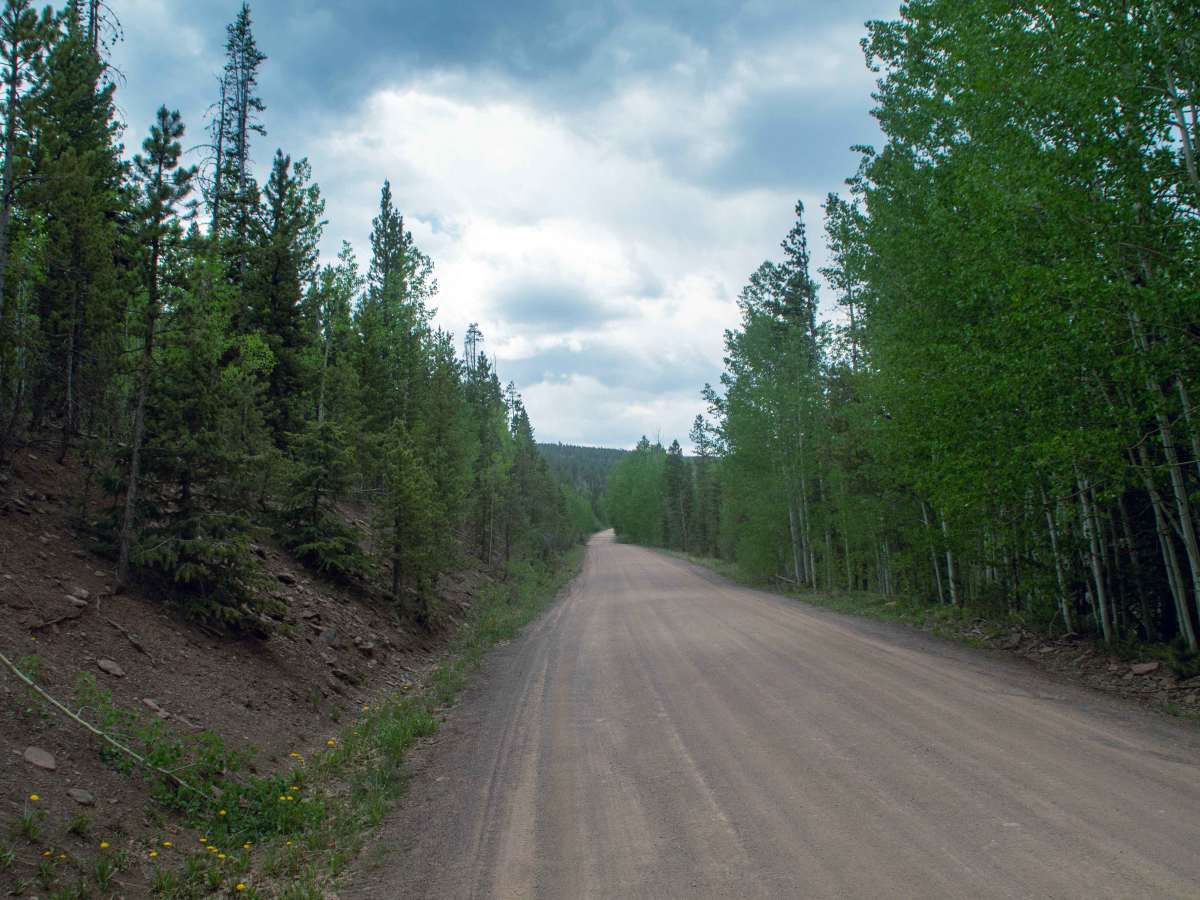 Hickerson Park-Birch Creek - FS 10221 photo 5