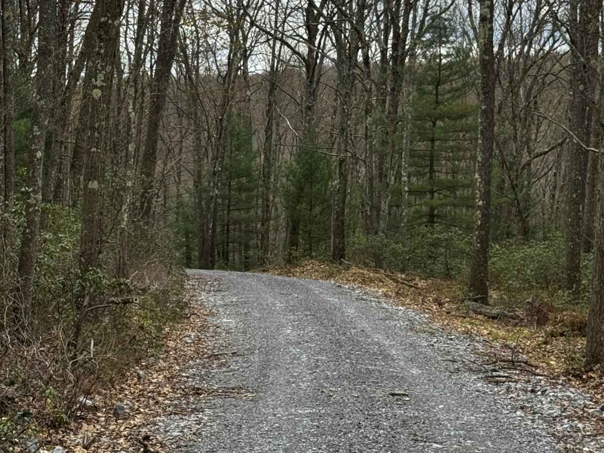 Wildcat Trail photo 4