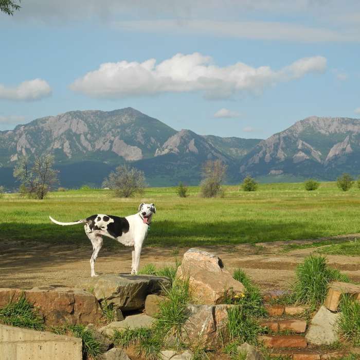 Near Dry Creek Trail
