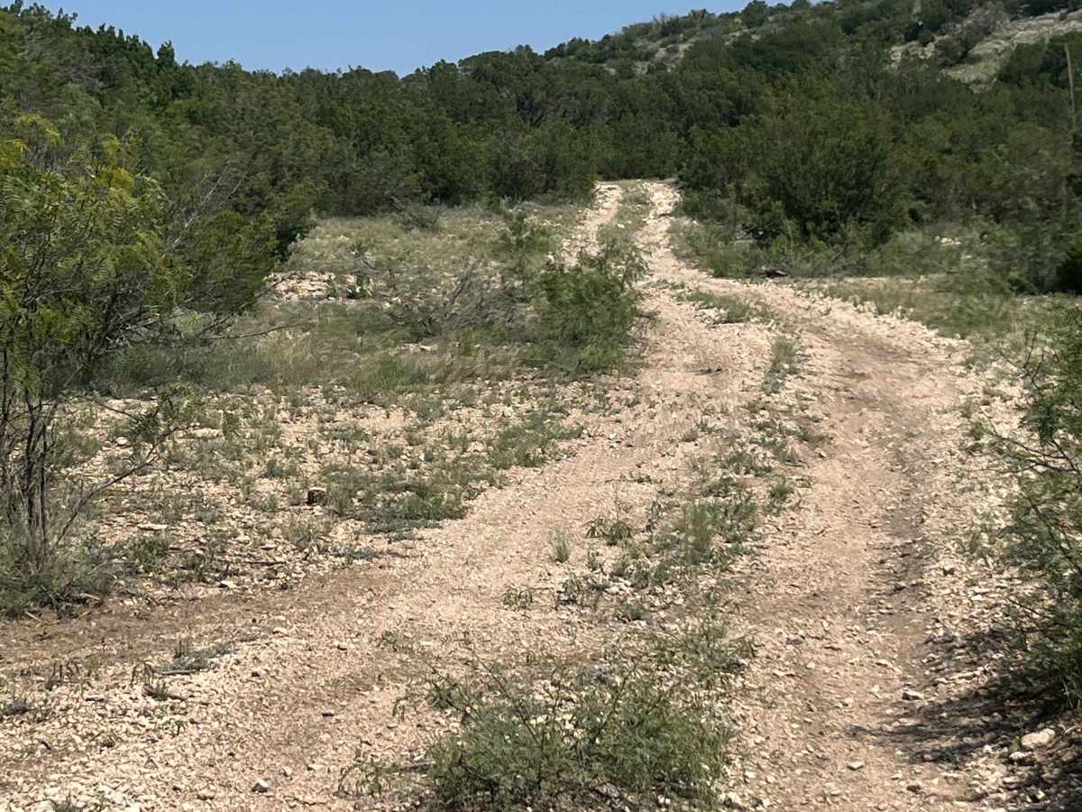 Pard Road 9 - PR9 trail photo