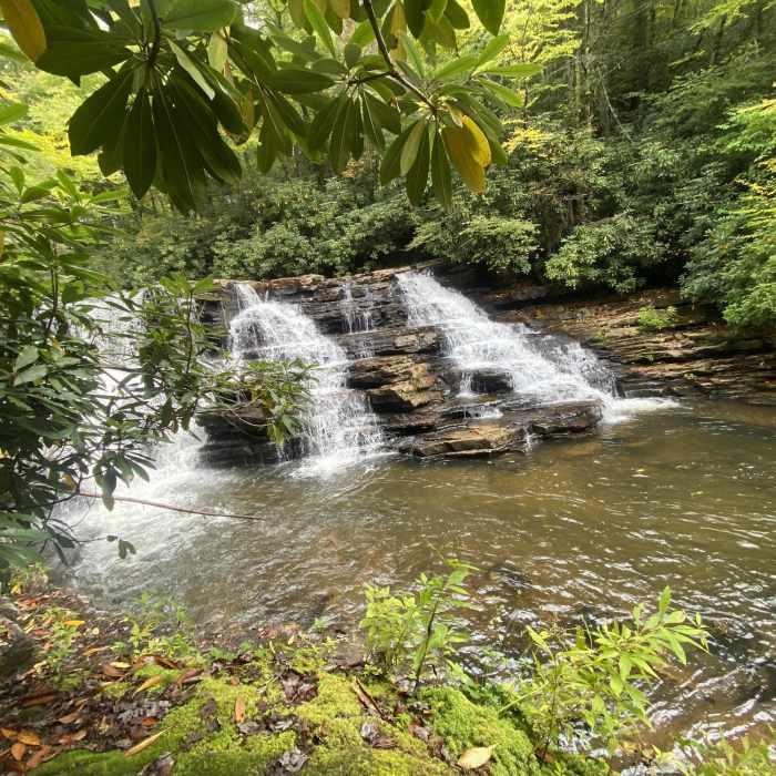 Near Upper Cascades Falls Trail