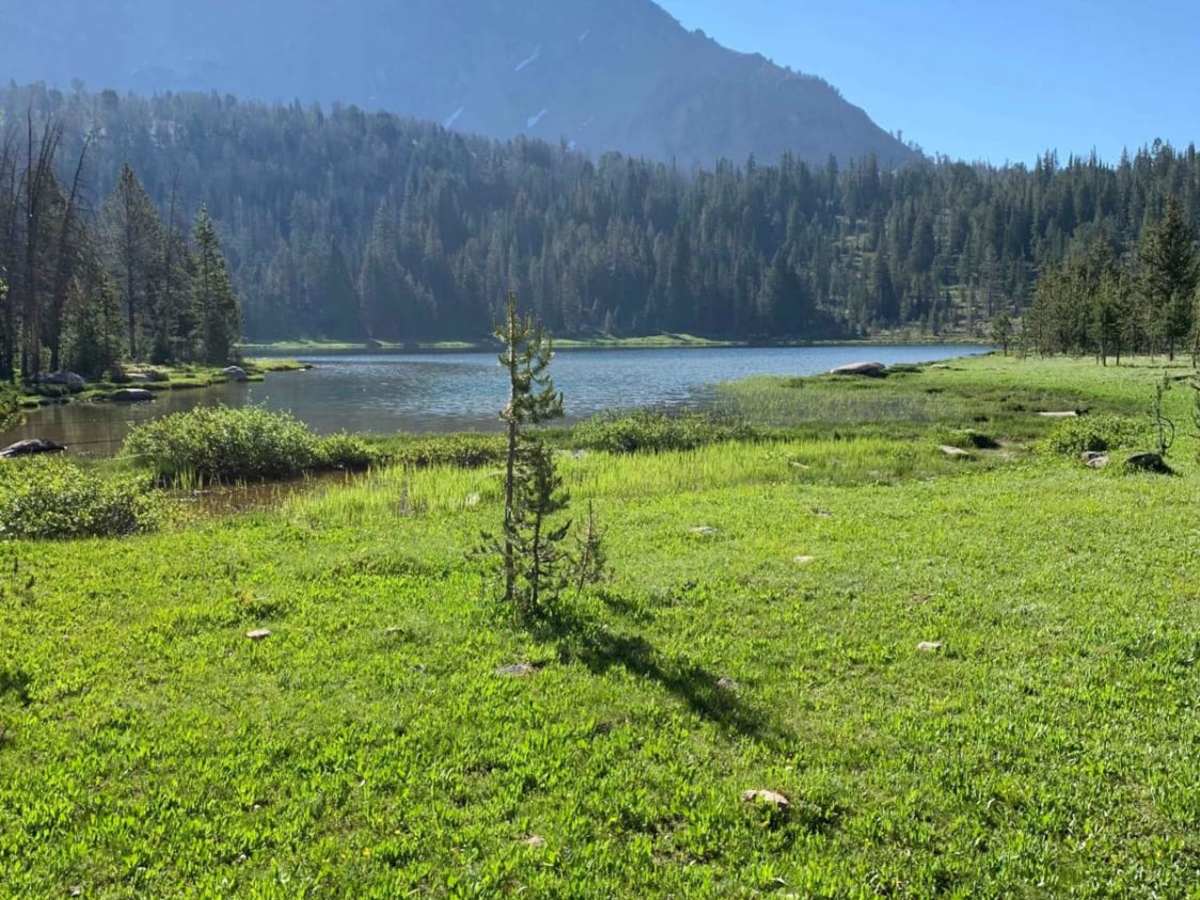 Washington Lake trail photo