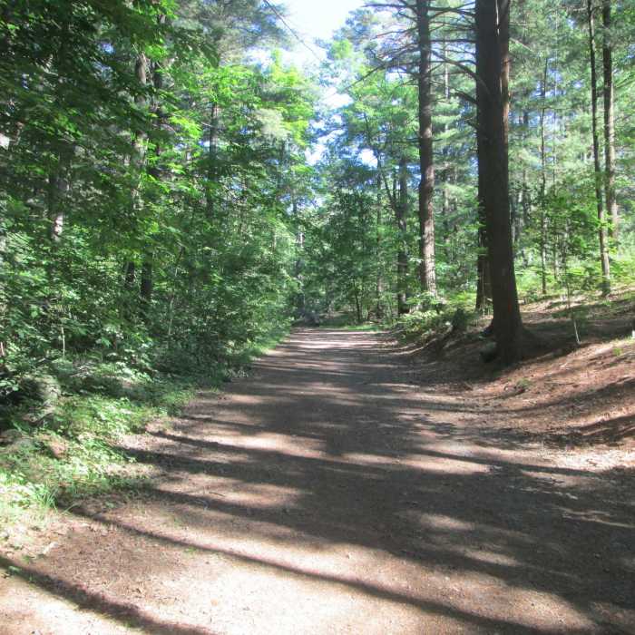 Waycross Road" courtesy of the Lynn Woods Ranger. Near Lynn Woods Loop