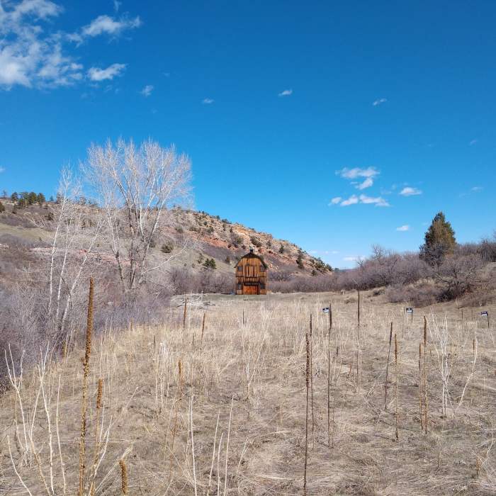 Small Barn Near Ringtail Trail #699