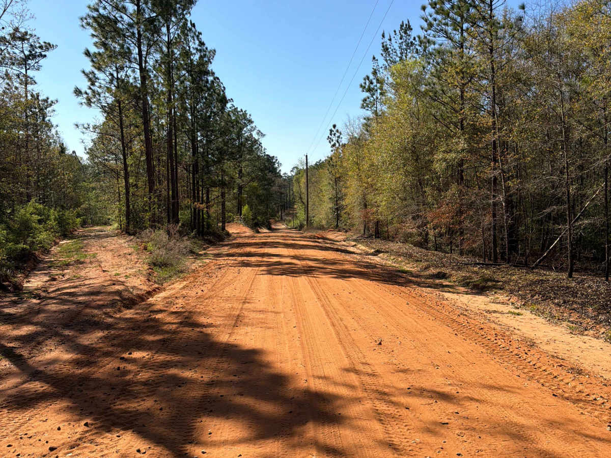 Mattie Kennedy Road photo 5