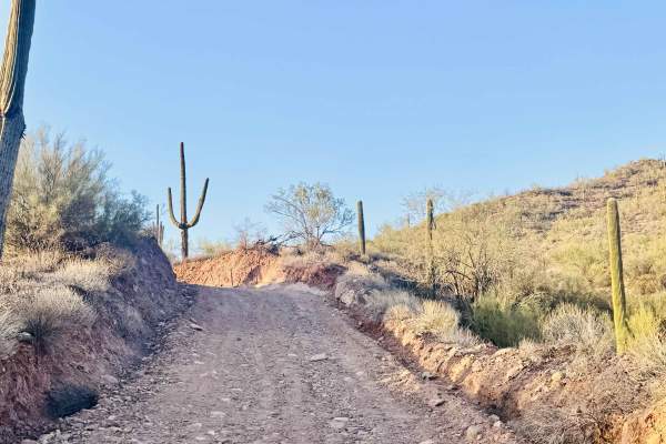 Outback Trail