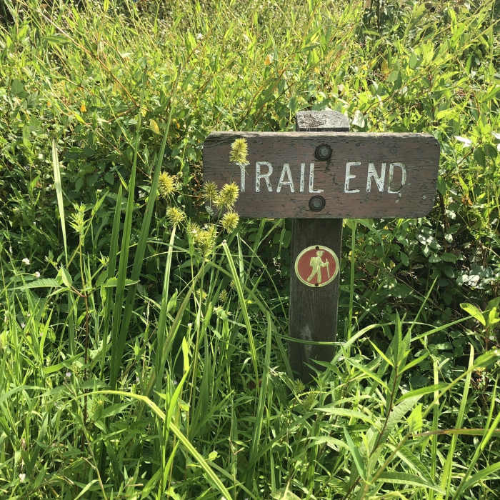 Near Great Blue Heron Trail