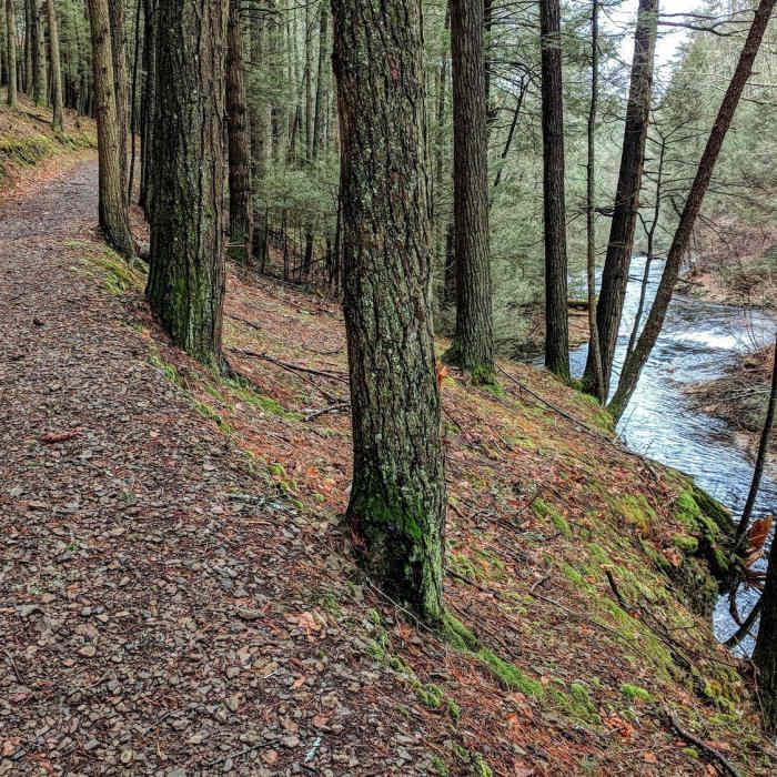 The Raymondskill River follows alongside Hackers Trail in this unique section of trail in Cliff Park, PA. Near Hackers Trail