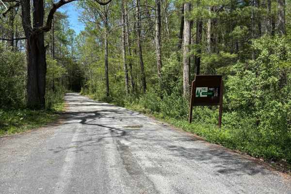 Hite Hollow