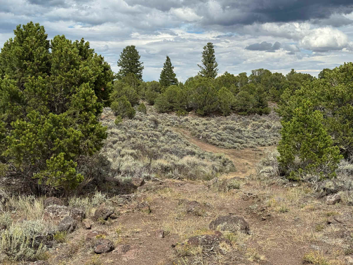 Trailhead Road photo 5