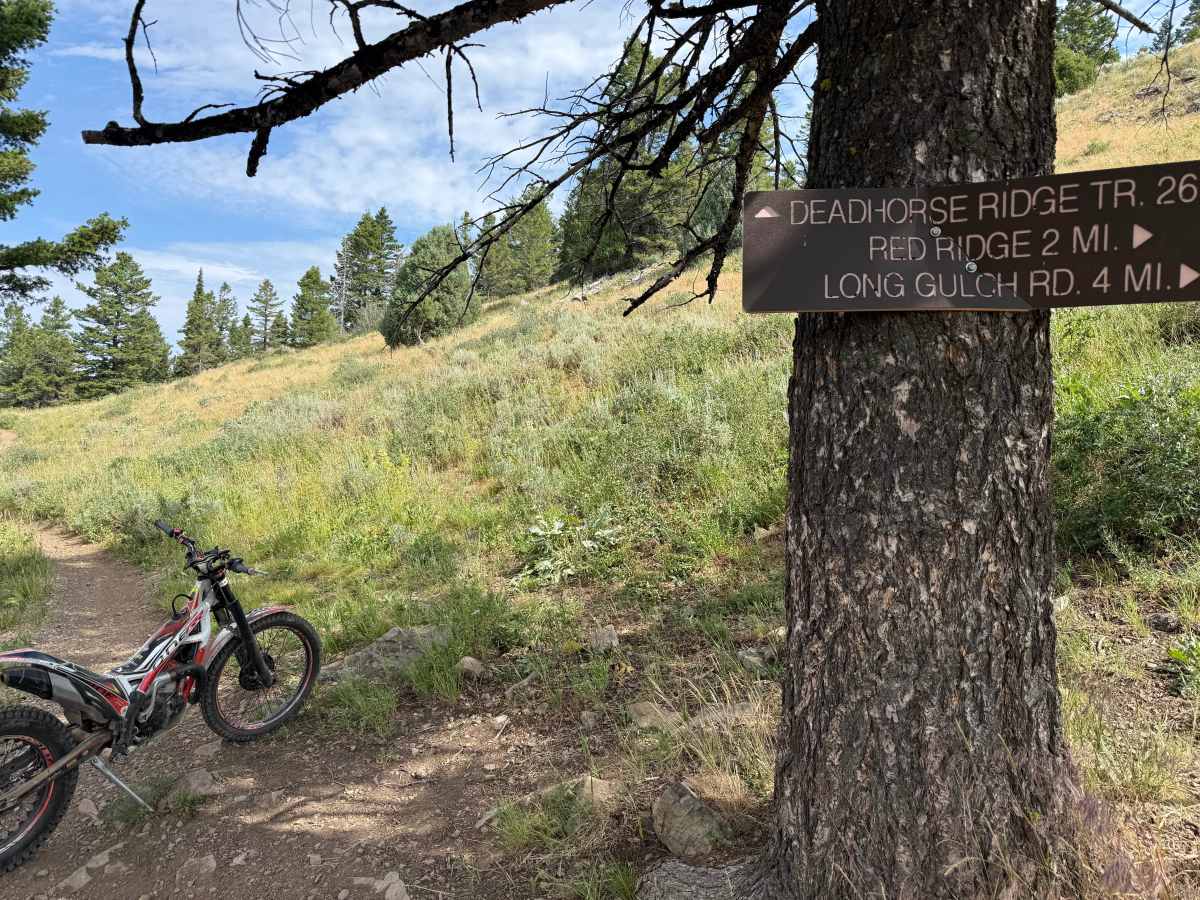 Dead Horse Ridge trail photo