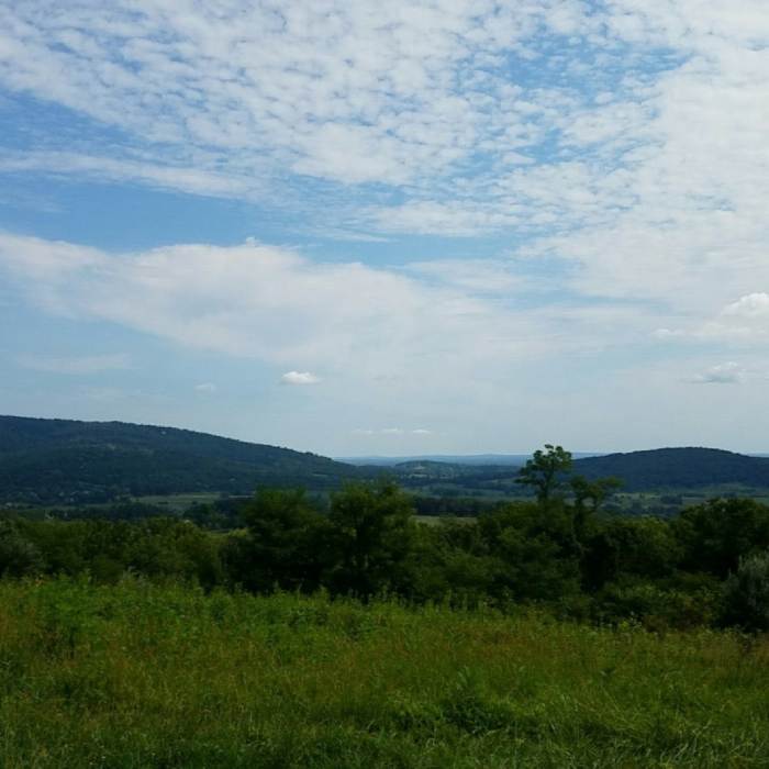Near Piedmont Overlook Loop