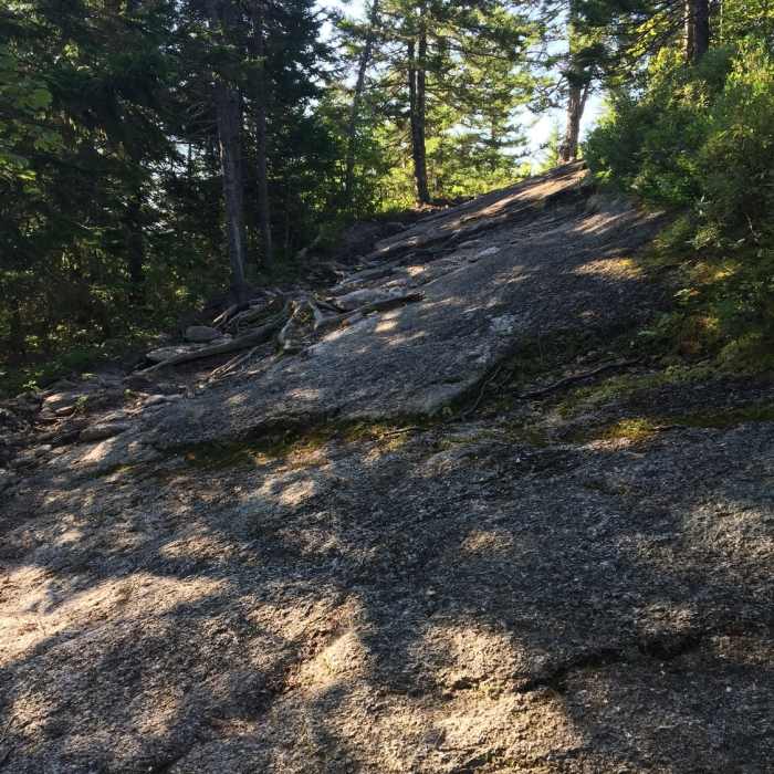 Near Turtle Mountain