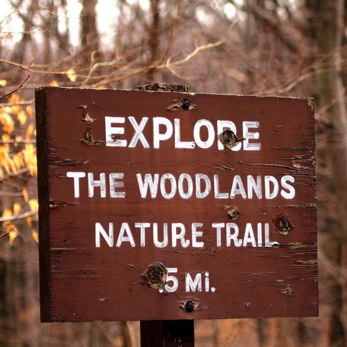 Near Rapids Bridge Loop