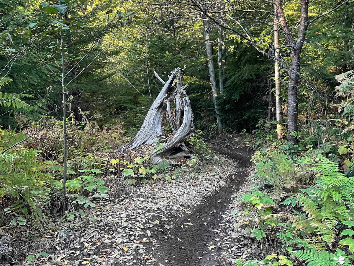 Hayden's Trail photo 4