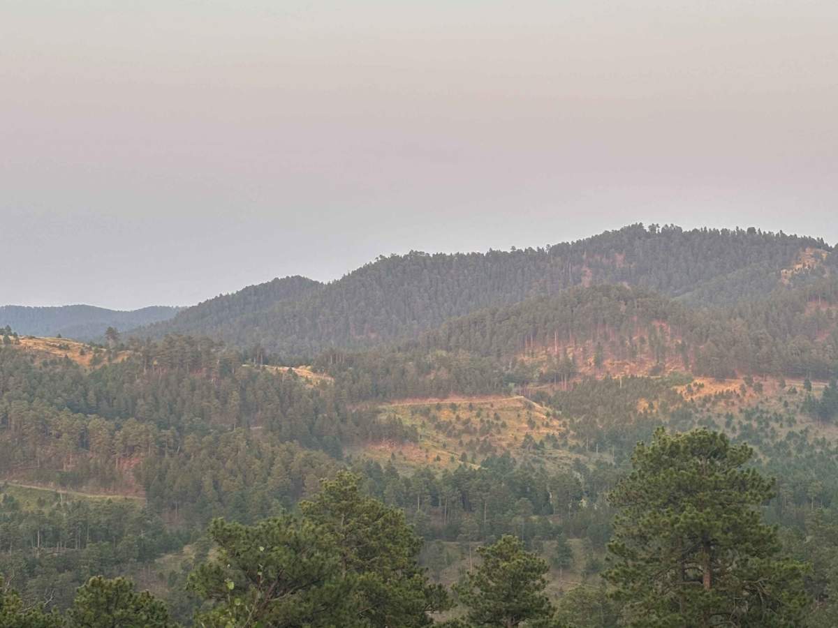 Nugget Gulch Lookouts - FS 6800 photo 6