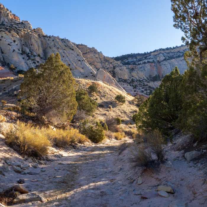 Near Red Hollow Slot Canyon