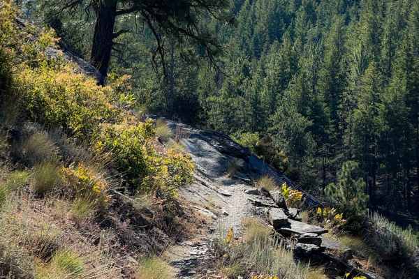 Red Hill Trail 1223