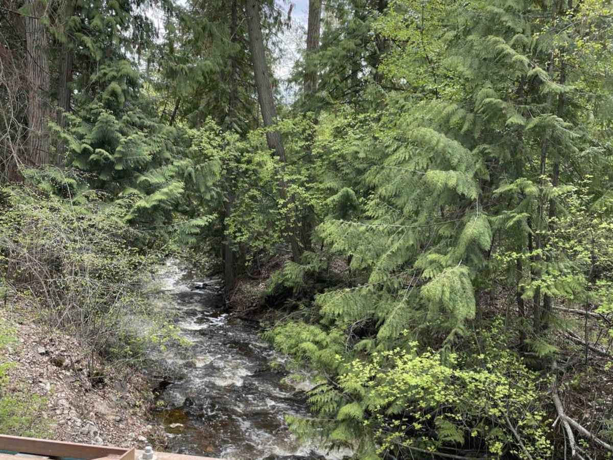 PostHill Lake trail photo