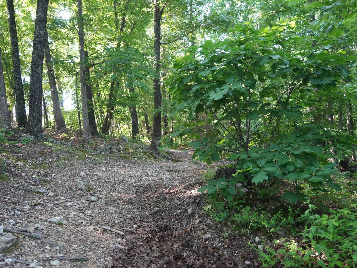 Schneider Hollow photo 2
