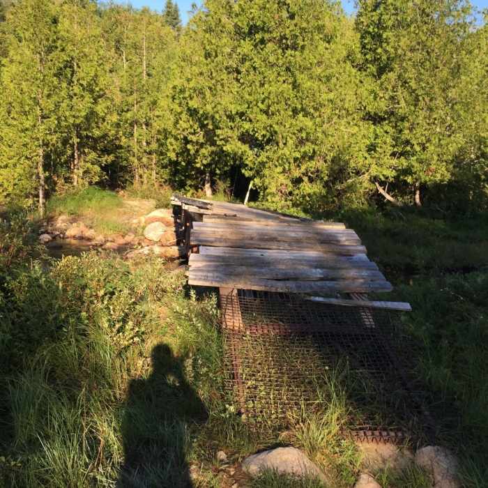 Near Turtle Mountain