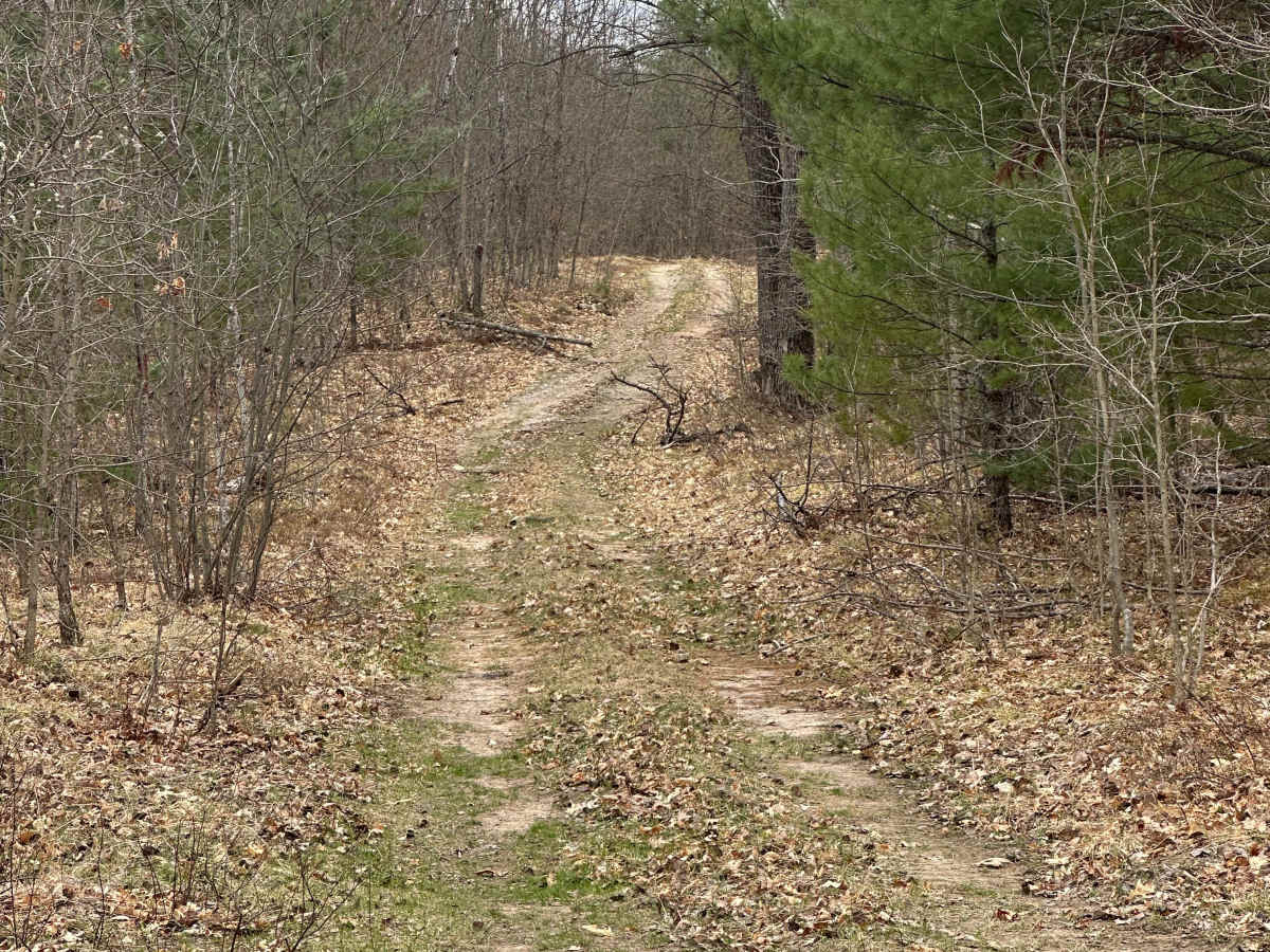 Pipeline Loop photo 6