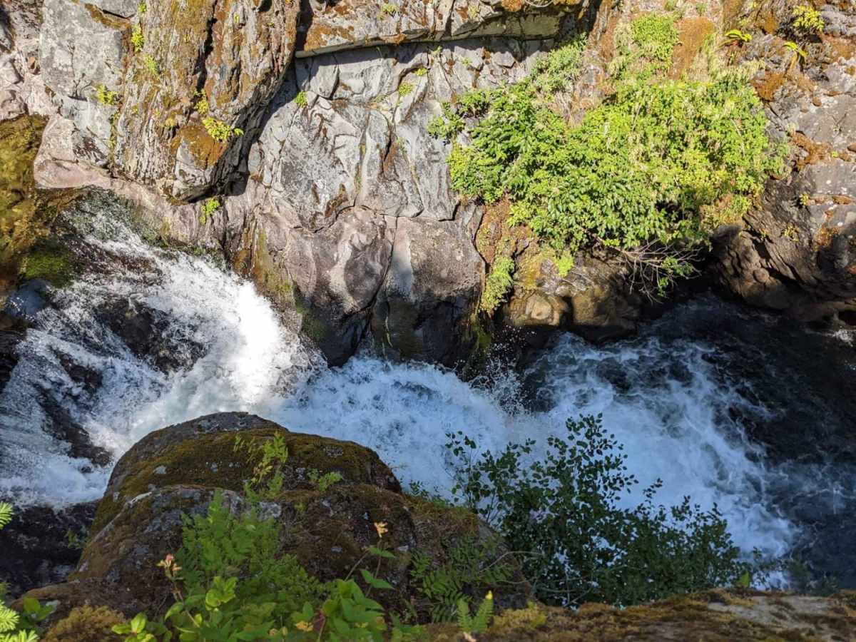 Hamma Hamma Falls photo 5