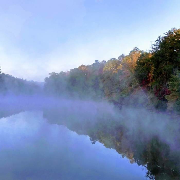 Near Laurel Loop Trail