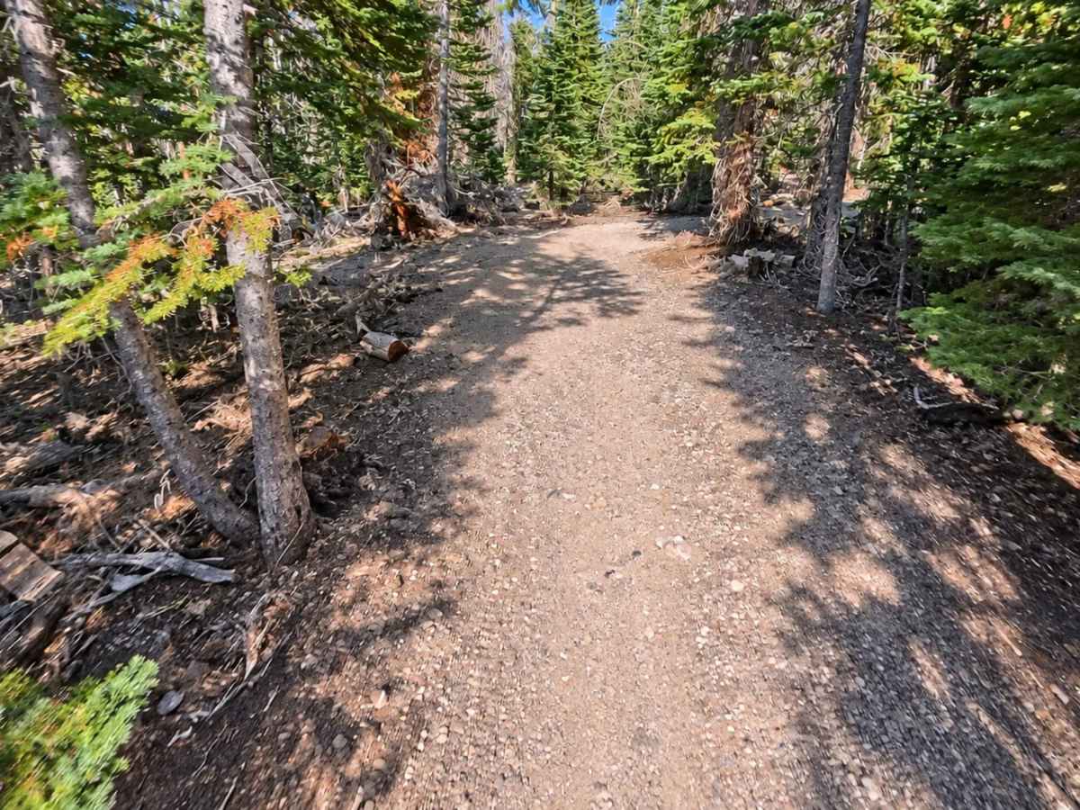 FS 3S109 Singletrack photo 6