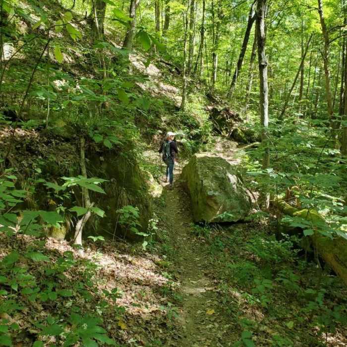 Near Hollow Point Trail