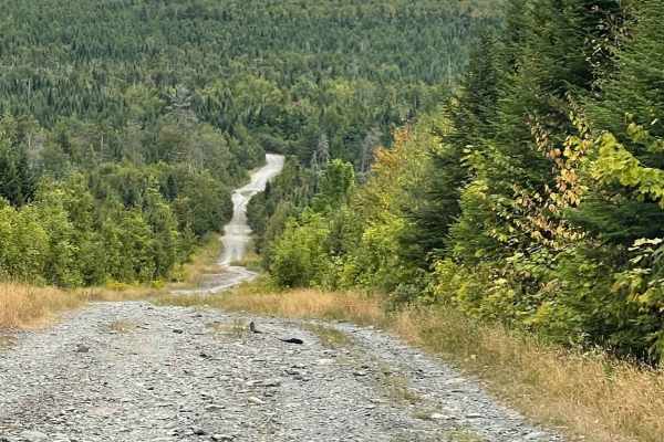 Sias Hill Road