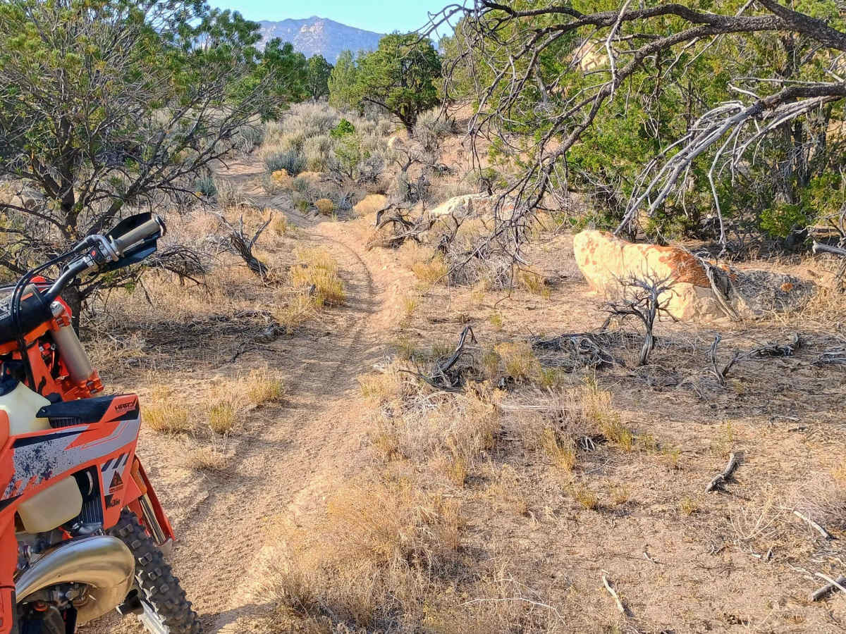 Deadman Canyon Loop trail photo
