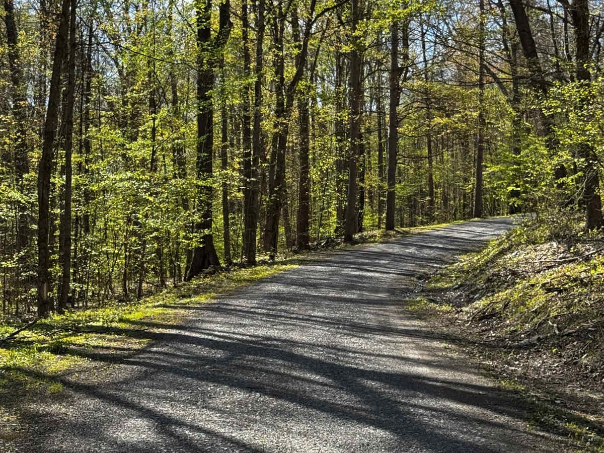 Weiss Grade Road photo 4