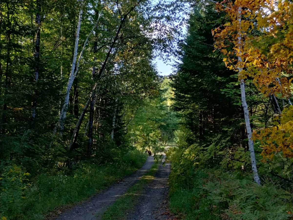 Johnson Mine Road photo 2