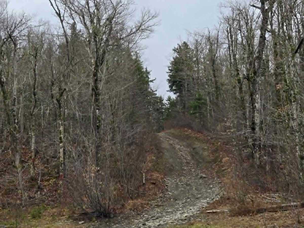 Windmill Hill climb  trail photo