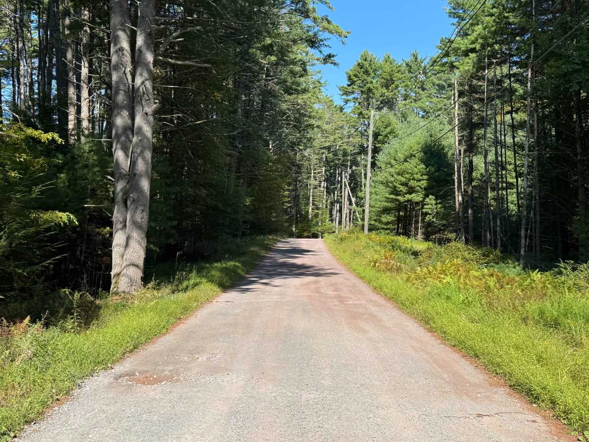 Mongaup River Road photo 3