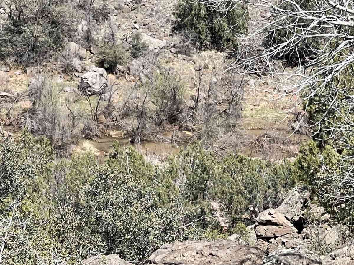 Hells Canyon to King Springs photo 3
