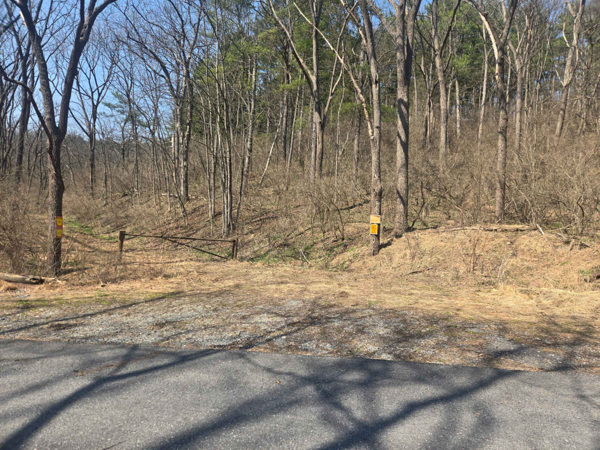 Spooner Road photo 2