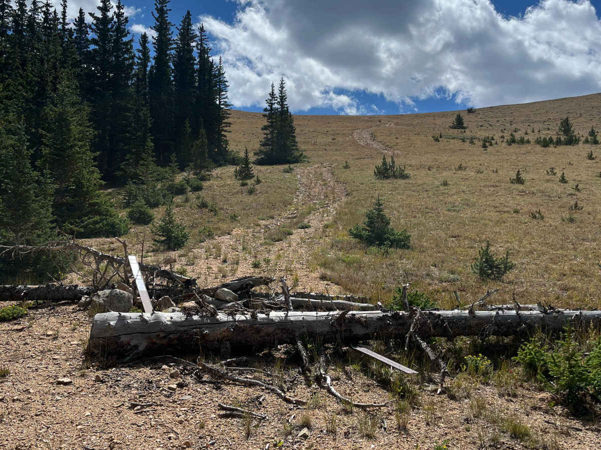 Pains Mountain Road photo 6