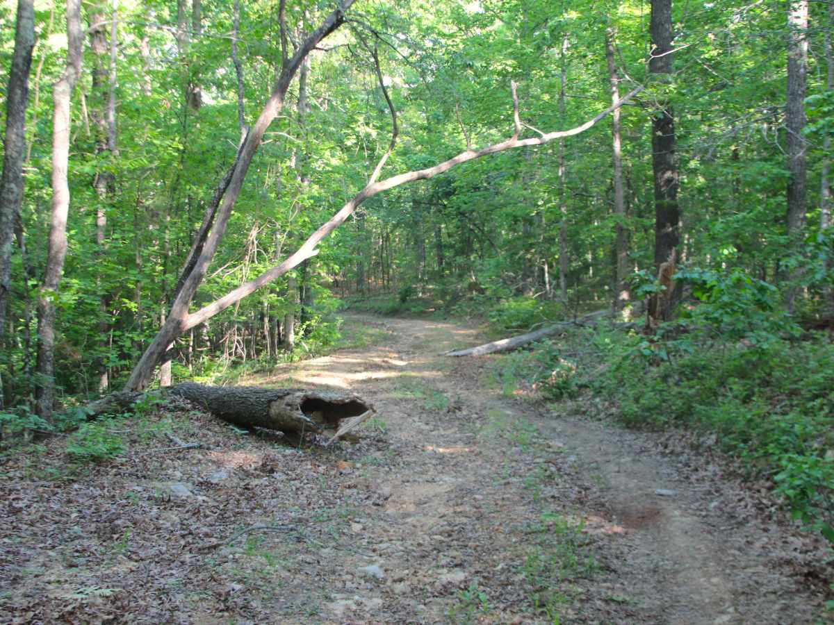 Sheehy Road - FS 3741 trail photo