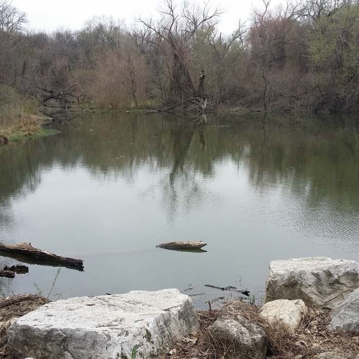 Near Hoblitzelle Park Trail