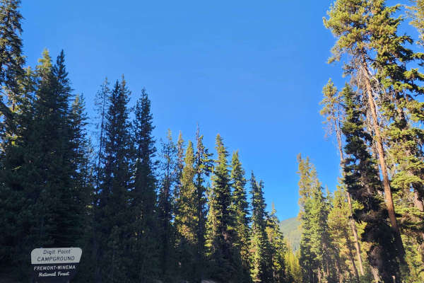 Miller Lake and Digit Campground - FS 9772
