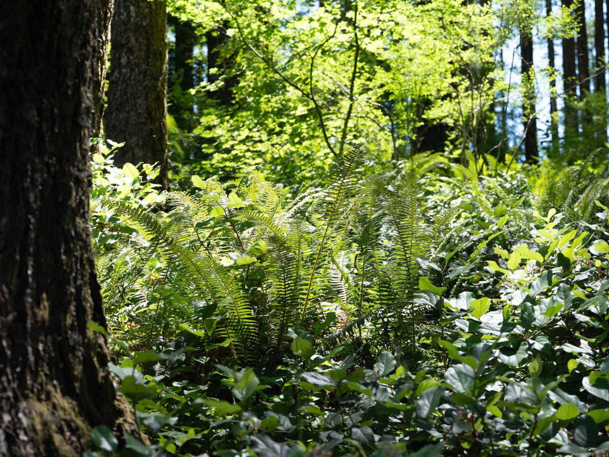 South Lake photo 3