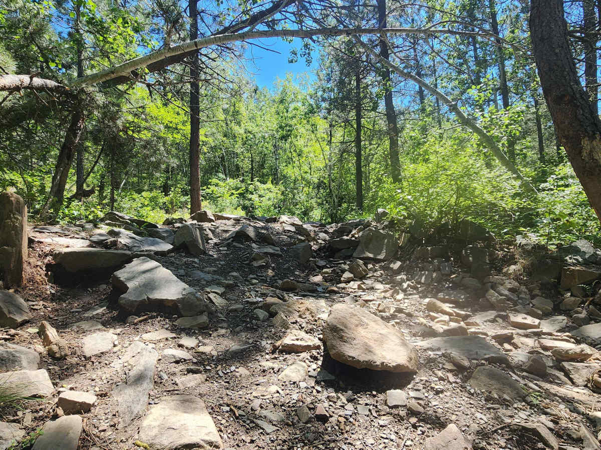 Jake Section 1 photo 6