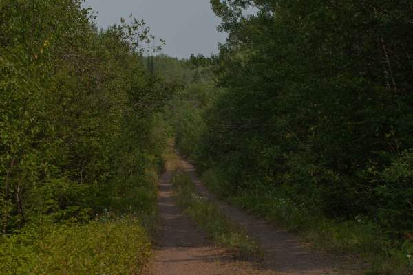 Pine Mountain Forest Road